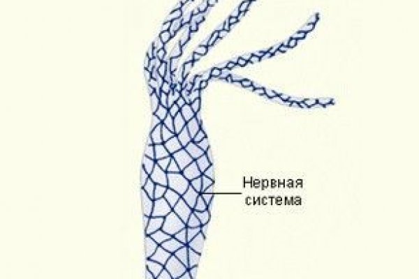 Что за маркетплейс кракен